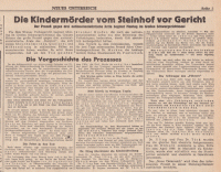 16.6 "The Children's Killers of Steinhof in the Dock" 