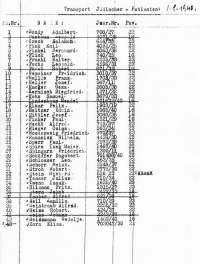 9.2 Liste jüdischer Euthansieopfer (WStLA) 