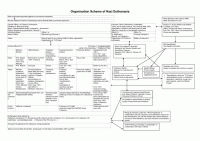 8.8 Organization chart of the "euthanasia" programme